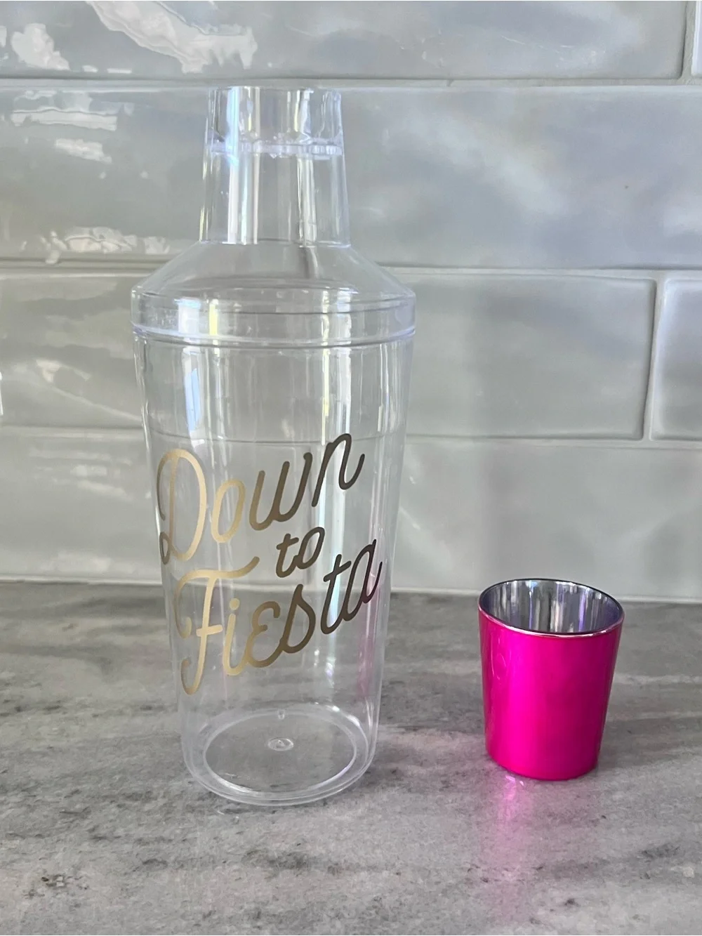 Clear 'Down to Fiesta' Drink Shaker with Pink Shot Cup & Pair of Cactus Stirrers